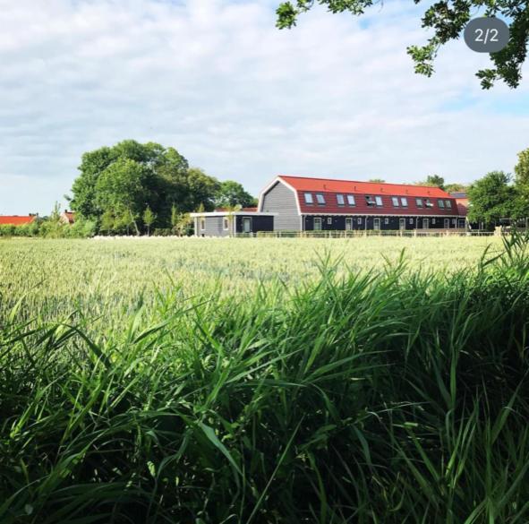 Vakantiewoning De Schelp Эллемет Экстерьер фото